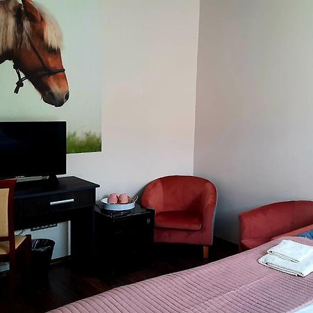 Caballus Lovasmajor Panzio Nyíregyháza エクステリア 写真