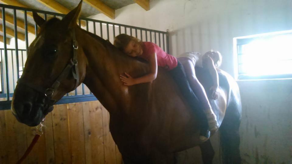 Caballus Lovasmajor Panzio Nyíregyháza エクステリア 写真