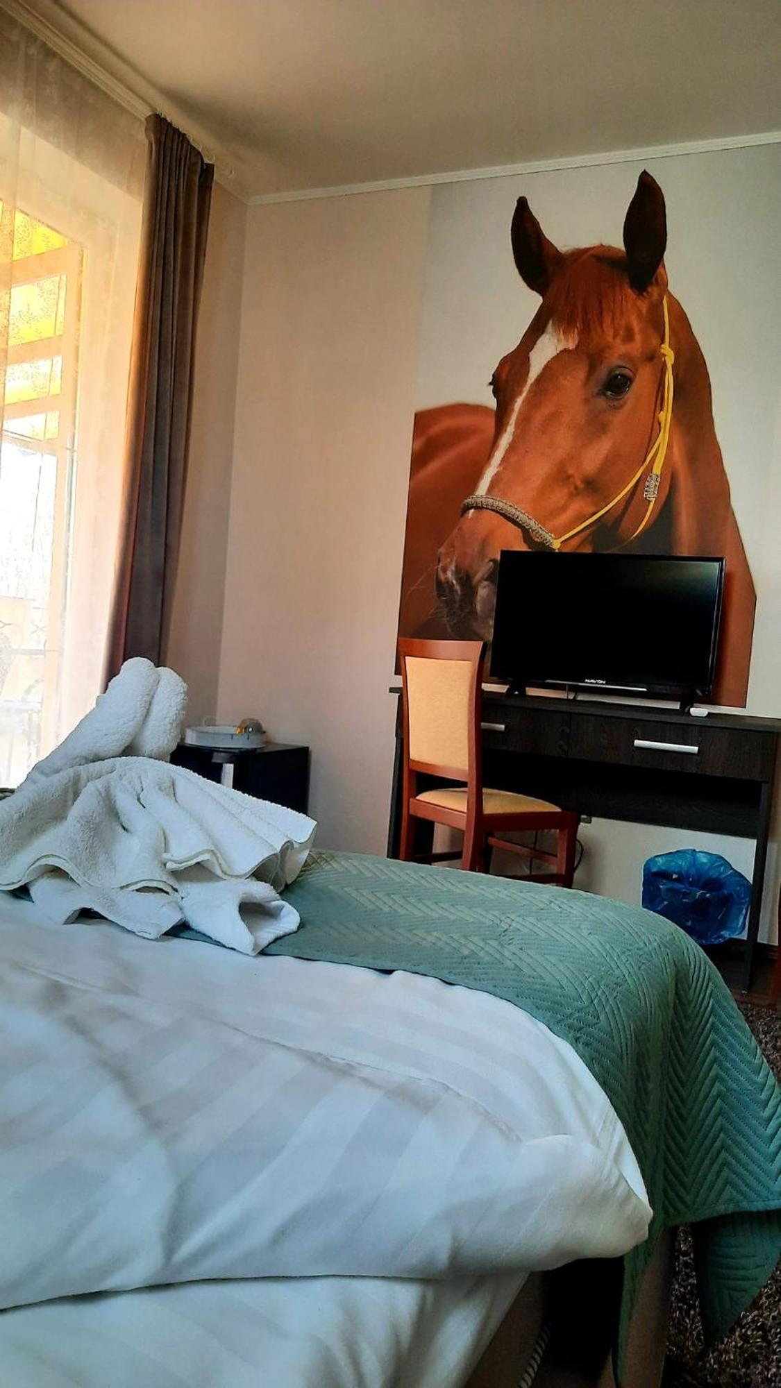 Caballus Lovasmajor Panzio Nyíregyháza エクステリア 写真