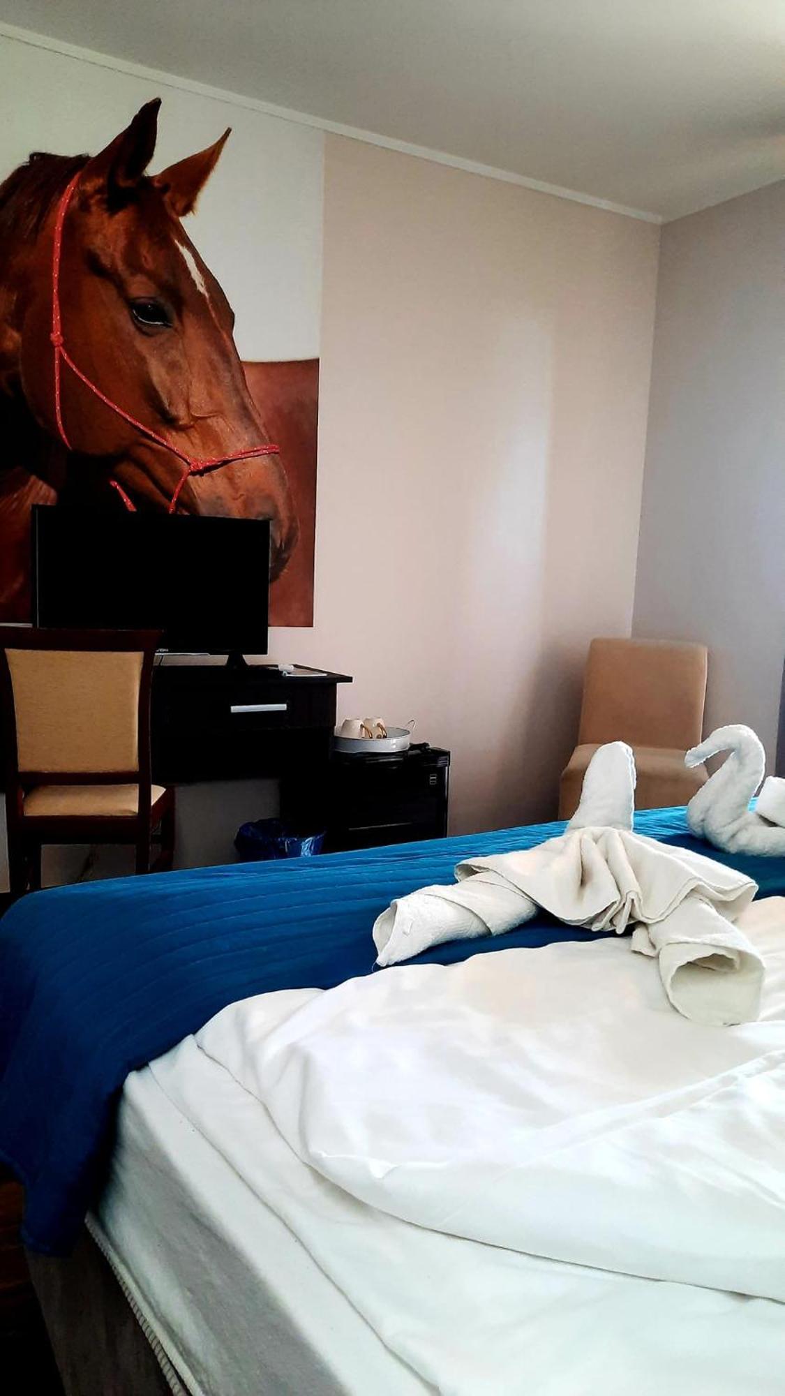 Caballus Lovasmajor Panzio Nyíregyháza エクステリア 写真